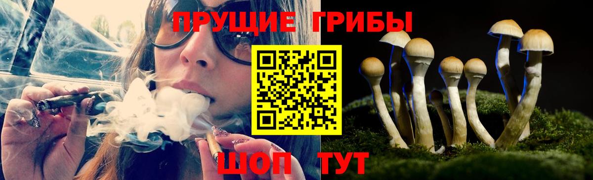 Краснодар  Галлюциногенные грибы GOLDEN TEACHER  Вход с VPN 